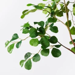 72" Artificial Ficus Tree - Threshold™ Designed With Studio McGee -Decor House GUEST 16a3ea1a b285 458b 9778 b3e637de7cfd