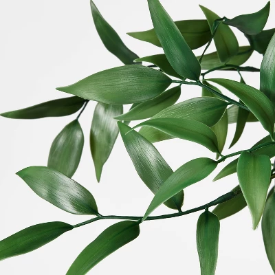 Shady Lady Tree In Ceramic Pot - Threshold™ Designed With Studio McGee 4 Shady Lady Tree In Ceramic Pot - Threshold™ Designed With Studio McGee - Image 2