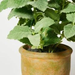 Artificial Potted Mint Leaf - Threshold™ Designed With Studio McGee 7 Artificial Potted Mint Leaf - Threshold™ Designed With Studio McGee -Decor House GUEST 19a08200 78b7 461e bcd9 c962450d4305