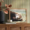 20" X 16" Bear Photography Framed Art Brown - Threshold™ -Decor House GUEST 3517e61a d5f0 4c54 bc45 14e5e4e062d4