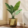 Large Brass Planter - Threshold™ -Decor House GUEST 38ac303d 0cee 4acf b88f 3a0a3ffa6ebf