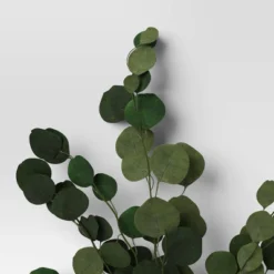 Preserved Eucalyptus Bundle - Threshold™ -Decor House GUEST 4b2c01ce 22ae 4399 a110 c0ca092c200c