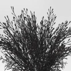 Halloween Grass Arrangement - Threshold™ -Decor House GUEST 5834dd4b e292 4e7e 86c6 4be244afb3d9