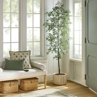 Shady Lady Tree In Ceramic Pot - Threshold™ Designed With Studio McGee 3 Shady Lady Tree In Ceramic Pot - Threshold™ Designed With Studio McGee