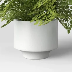 Small Fern In Modern Pot Maiden Hair Arrangement - Threshold™ 7 Small Fern In Modern Pot Maiden Hair Arrangement - Threshold™ -Decor House GUEST 75fb7d8f c213 4761 a51b b27751ab80ae