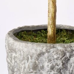 Banyan Tree Potted - Threshold™ Designed With Studio McGee -Decor House GUEST 7c945569 ea6c 4192 94d5 6530a4bfd2d3