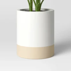 Large Variegated Plant - Threshold™ -Decor House GUEST 7d5c4722 8e80 4f51 9089 0f72358617e5