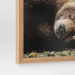 20" X 16" Bear Photography Framed Art Brown - Threshold™ -Decor House GUEST 8d29808a 8d0a 4121 a8c8 64d15cc45658