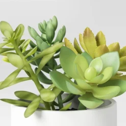 Artificial Succulents Plant In Pot - Threshold™ 6 Artificial Succulents Plant In Pot - Threshold™ -Decor House GUEST 90eb1522 2fb2 472e 8125 d6acdc8fd939