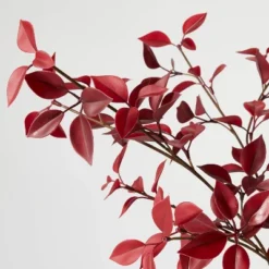 Eucalyptus Leaf Arrangement Burgundy - Threshold™ Designed With Studio McGee -Decor House GUEST a17c1855 0816 4405 996c 2cb03582a5c1