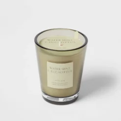 Colored Vase Glass With Dustcover Watermint And Eucalyptus Candle Green - Threshold™ -Decor House GUEST ae8e6bdf 6741 4047 bc7b 87c9f71c548e
