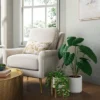 Alocasia Artificial Plant - Threshold™ -Decor House GUEST baffad4e dfb7 457d 8244 30c8ffbfc956