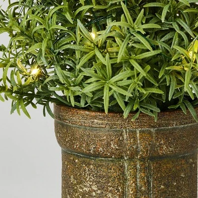 Rosemary Pre-Lit Christmas Arrangement - Threshold™ Designed With Studio McGee 3 Rosemary Pre-Lit Christmas Arrangement - Threshold™ Designed With Studio McGee - Image 2