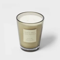 Colored Vase Glass With Dustcover Watermint And Eucalyptus Candle Green - Threshold™ -Decor House GUEST c7ced8f8 1486 4167 bf53 4e77271a3df4