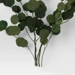 Preserved Eucalyptus Bundle - Threshold™ -Decor House GUEST c7dd4b87 faec 4ba4 94c4 c0953dd894d7