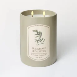 20oz Ceramic Blackberry Eucalyptus Candle Green - Threshold™ Designed With Studio McGee -Decor House GUEST cf6cac59 7399 414d aa5a 9e6927eecaee