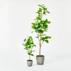 Banyan Leaf Potted Tree - Threshold™ Designed With Studio McGee -Decor House GUEST e0836b00 df5f 43ba bf4c e16aa35005ea