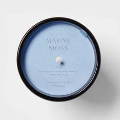 Colored Vase Glass With Dustcover Marine Moss Candle Blue - Threshold™ -Decor House GUEST e5035607 20cd 4e66 bc9b 502503c48b69