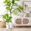 Large Fiddle Leaf Potted - Threshold™ -Decor House GUEST e7395200 0f20 4db0 98f8 fb6ed24ead9a